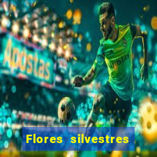 Flores silvestres brasileiras brasileiras flores silvestres nomes e imagens